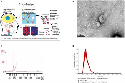 Neuronally enriched microvesicle RNAs are differentially expressed in the serums of Parkinson’s patients